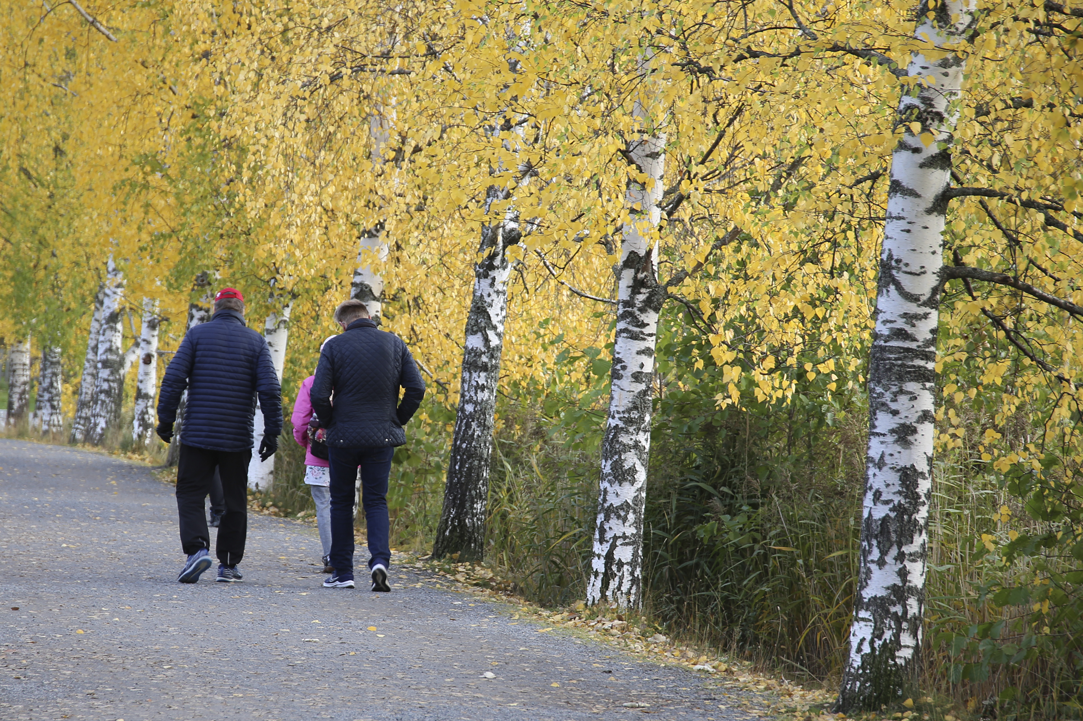 Mielitkö metsään, virvoitutko vesistöjen äärellä? Suomen ympäristökeskus kerää tietoja pirkkalalaisten lempipaikoista luonnossa