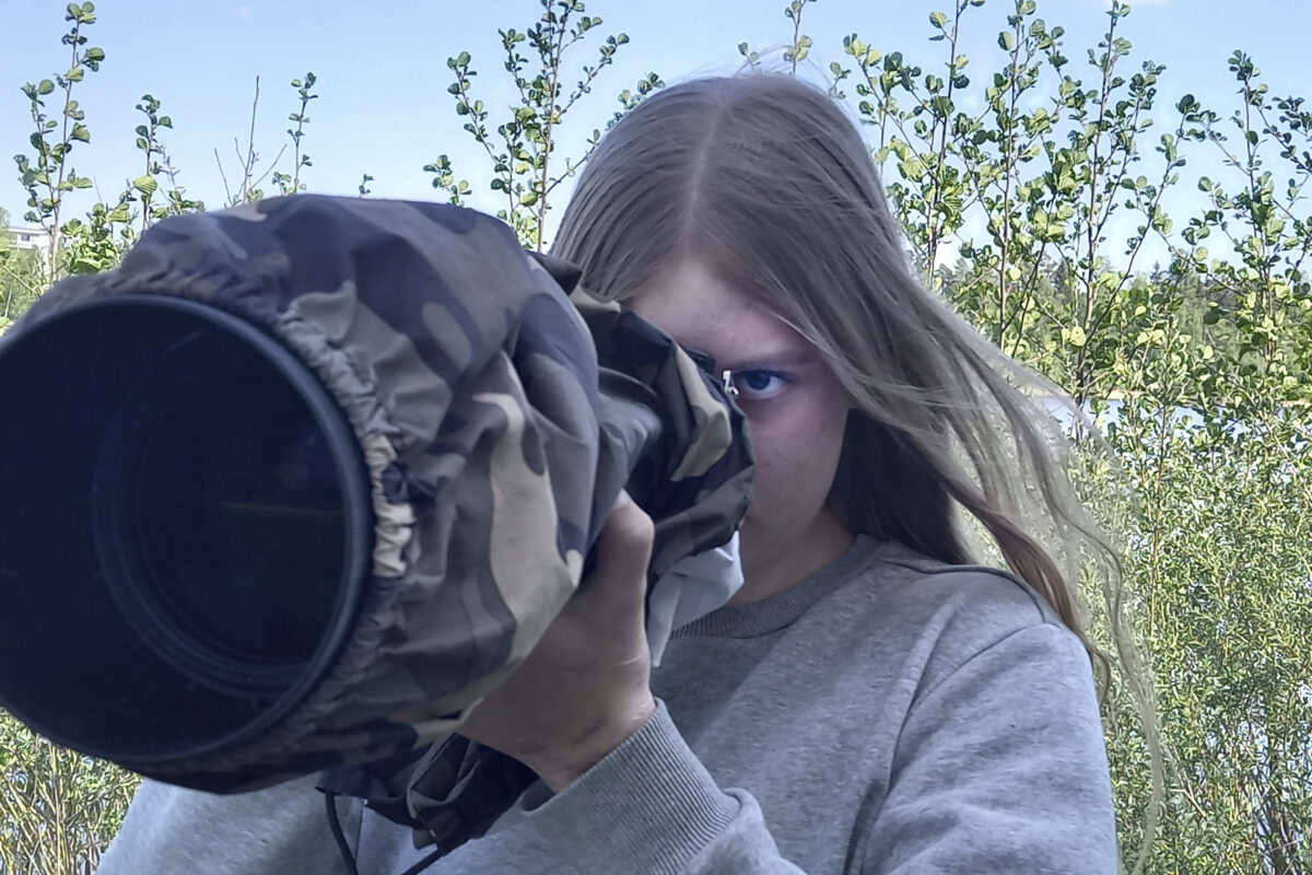 Luetuimmat 2023: Näin syntyi 17-vuotiaan kamerataiturin ikimuistoisin luontokuva – otos rapakossa tepastelevista pikkutylleistä oli pirkkalalaisen Matilda Ala-Salomäen työvoitto