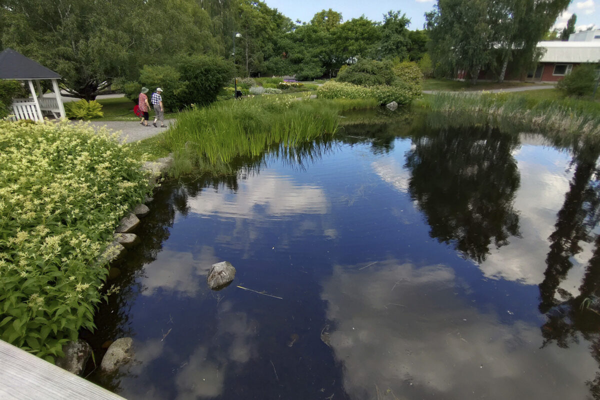 Hatanpään arboretum sai aiemmin tämän arvokkaan palkinnon – nyt seuraan pääsivät Ahlmanin kampus ja Myllyranta park Lempäälästä