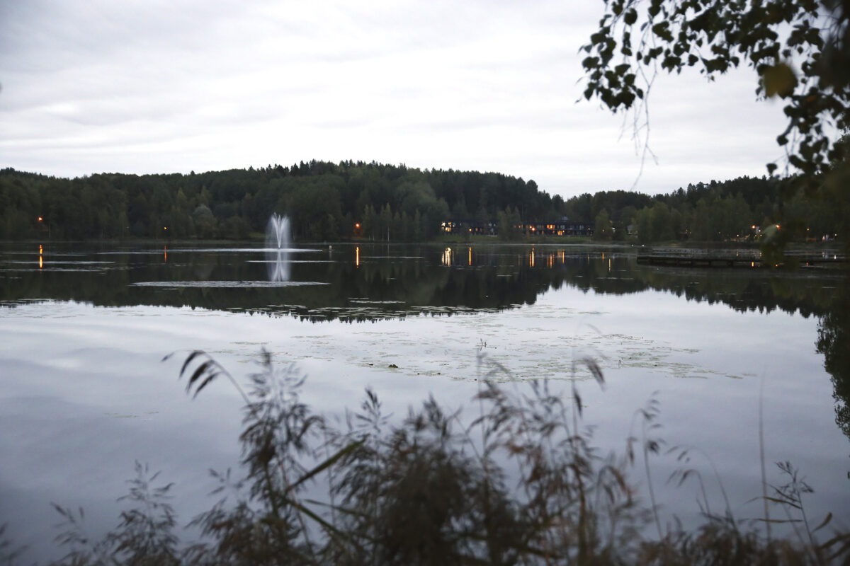 ”Kukkaniitty, laavu, soutuveneitä, tuuliviiri, kirsikkatarha, tykkilumilatu, viljelylaatikoita, pensassokkelo, aurinkotuolit…” – kuntalaiset pursuivat ideoita Vähäjärven puiston suunnittelun avuksi